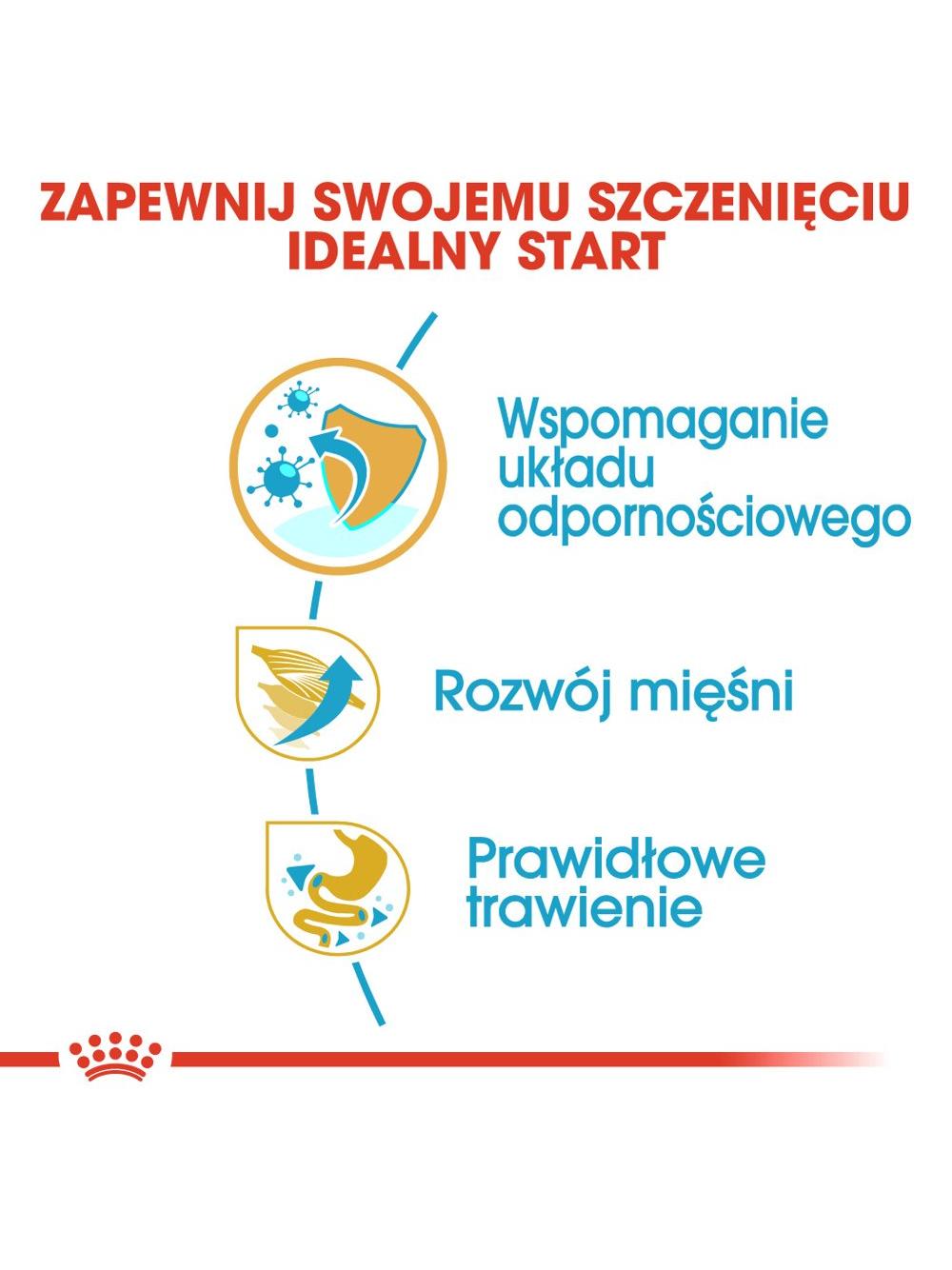 ROYAL CANIN Boxer Puppy 12kg karma sucha dla szczeniąt do 15 miesiąca, rasy bokser