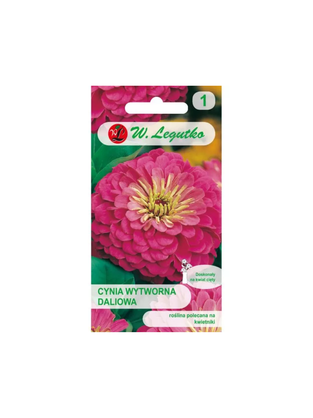 Cynia wytworna daliowa Illumination - różowa
