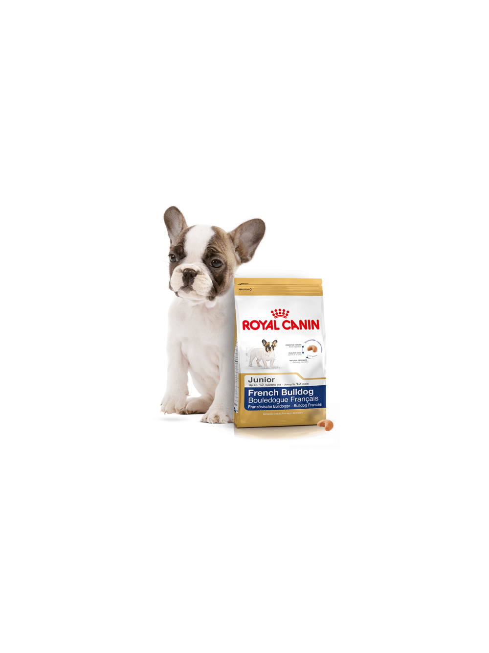 ROYAL CANIN French Bulldog Puppy 10kg karma sucha dla szczeniąt do 12 miesiąca, rasy bulldog francuski + niespodzianka dla psa GRATIS!