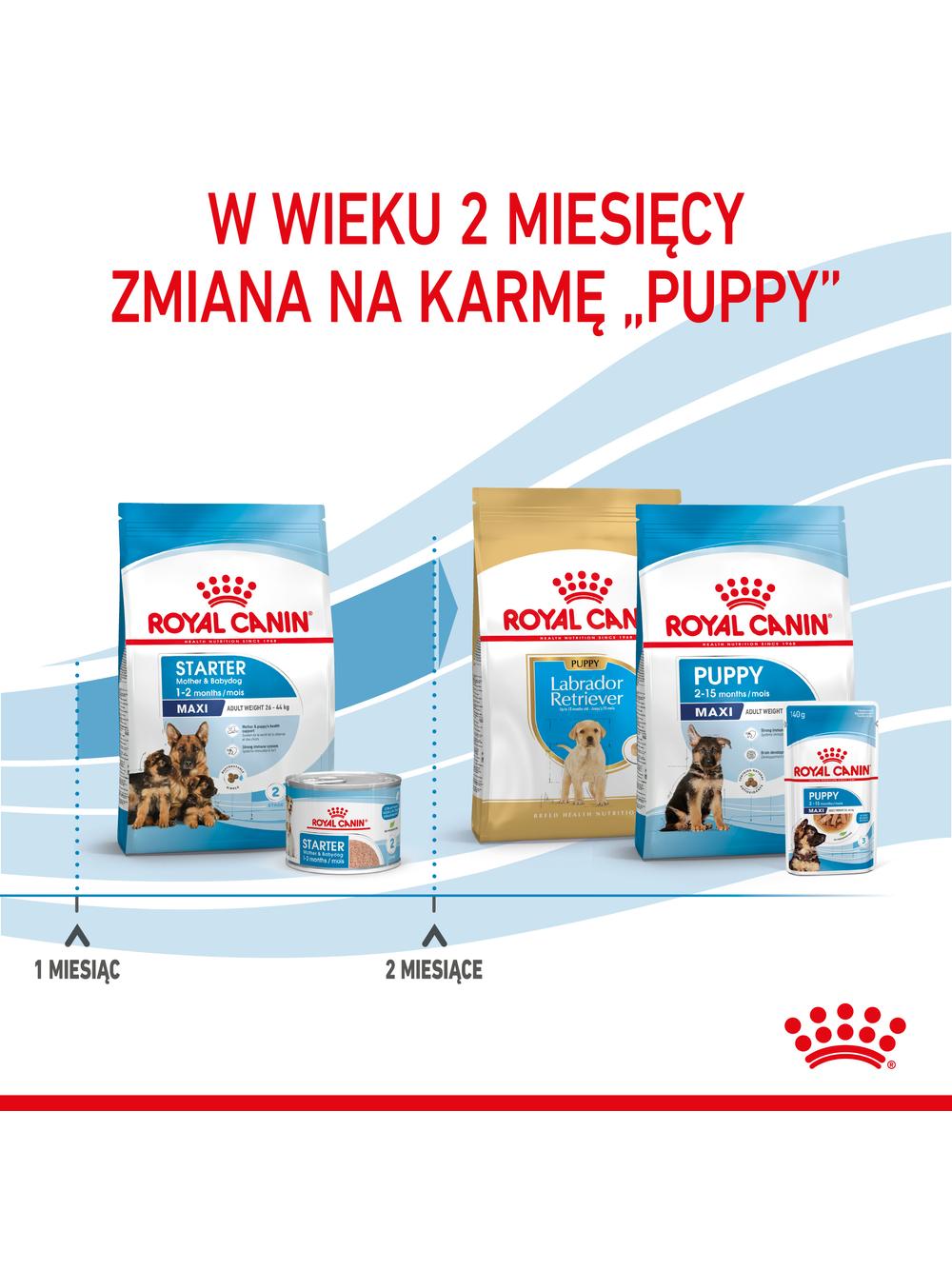 ROYAL CANIN Maxi Starter Mother&Babydog 15kg karma sucha dla suk w ciąży i okresie laktacji oraz szczeniąt, od 4 do 8 tygodnia życia, ras dużych / Opakowanie uszkodzone (2906,3795,2315,3110) !!!