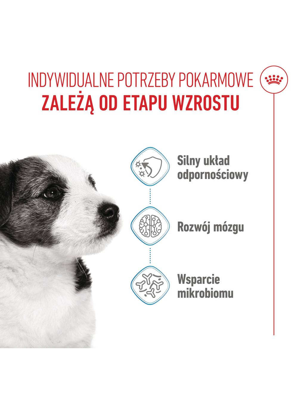ROYAL CANIN Mini Puppy 2kg karma sucha dla szczeniąt, od 2 do 10 miesiąca życia, ras małych/Opakowanie uszkodzone (8970)