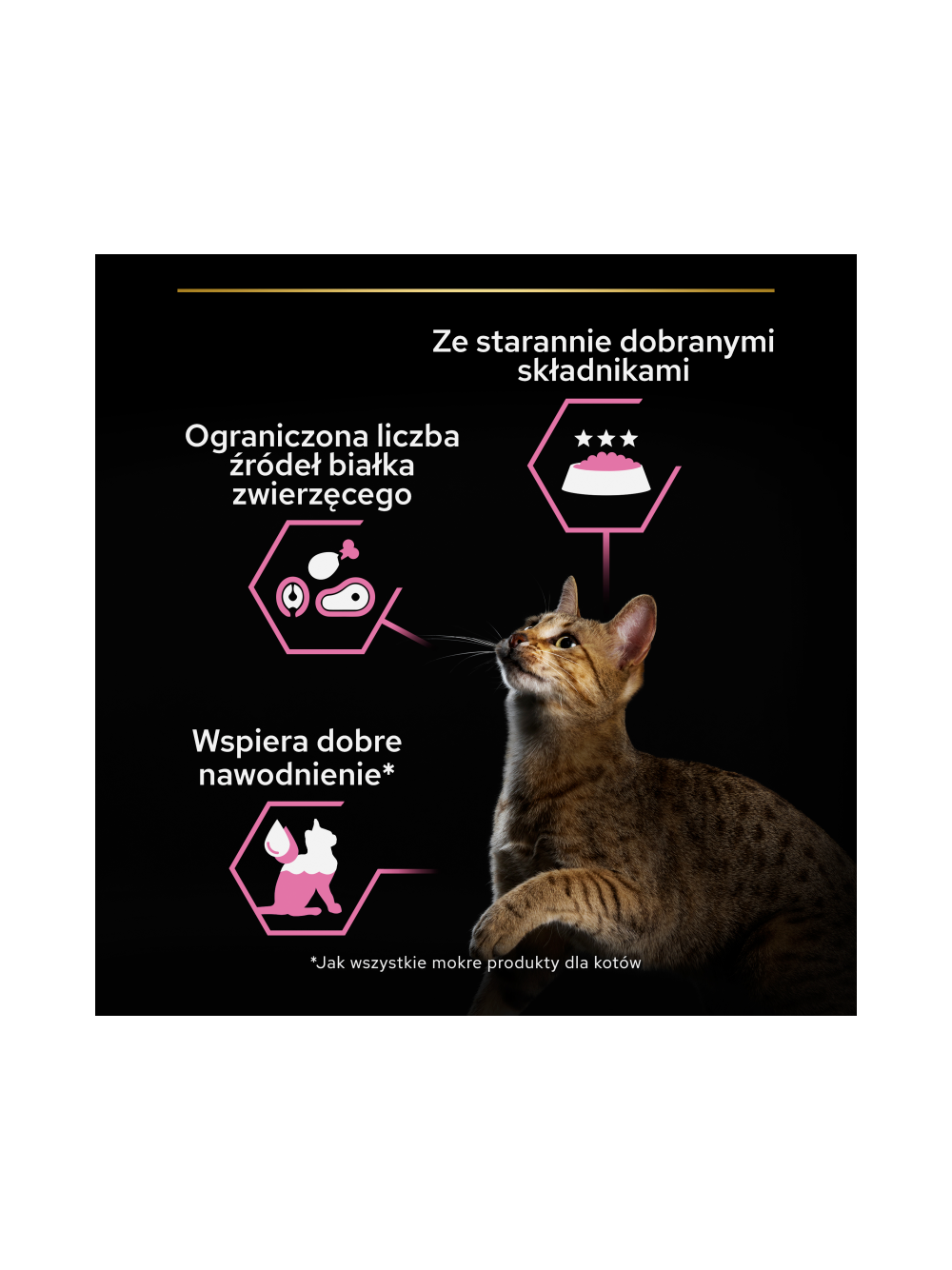 PRO PLAN Adult Delicate Mokra karma dla kota mus z indykiem 12x85g