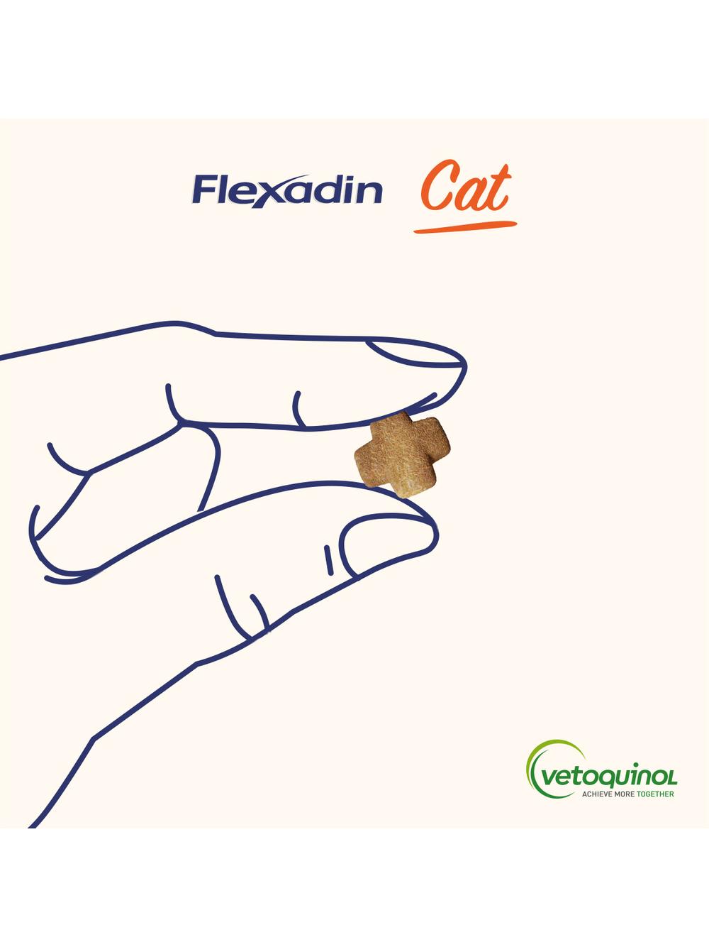VETOQUINOL Flexadin Cat 60 kąsków