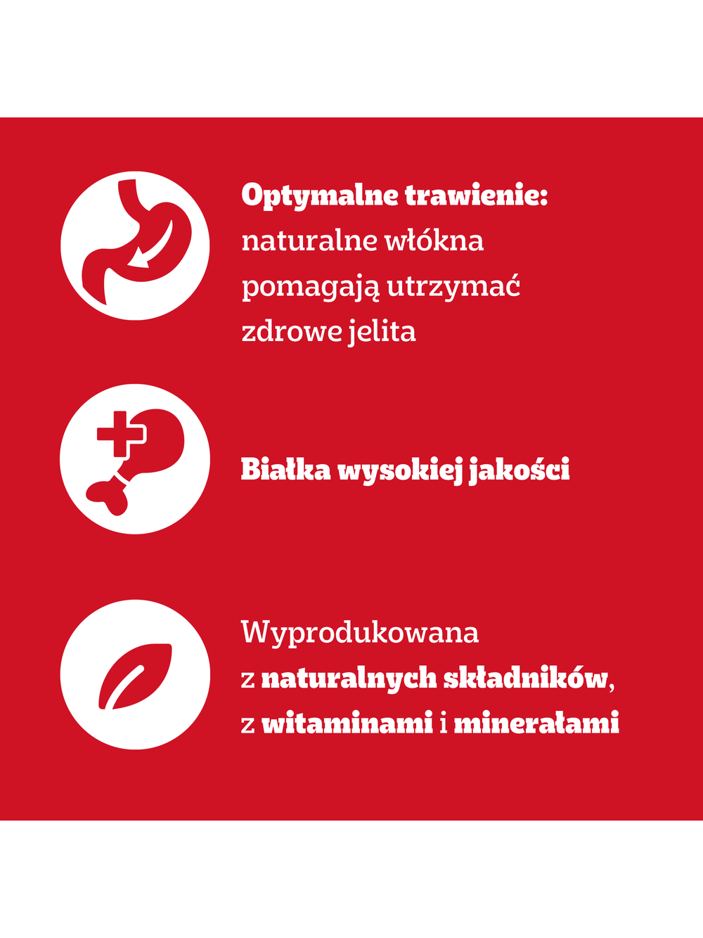 PEDIGREE® Adult Karma mokra dla dorosłych psów, Wybór Smaków w Sosie, 80 x 100 g