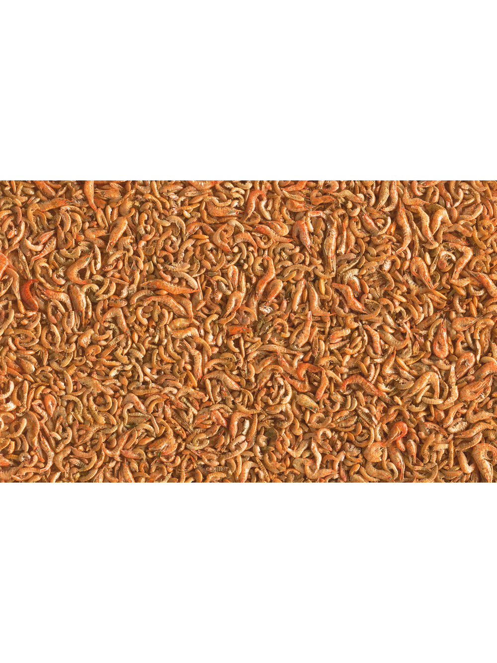 TETRA Pond Shrimp Mix 1L