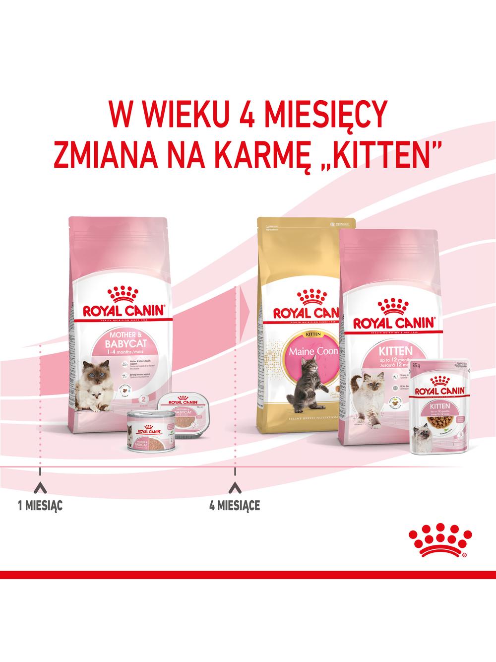 ROYAL CANIN Mother&Babycat karma sucha dla kotek w okresie ciąży, laktacji i kociąt od 1. do 4. miesiąca życia 2 kg + Royal Canin piłka dla kota GRATIS!!
