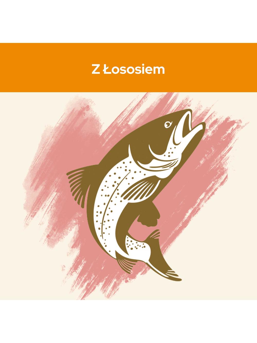 PURINA Cat Chow Adult Salmon Karma z łososiem 15kg