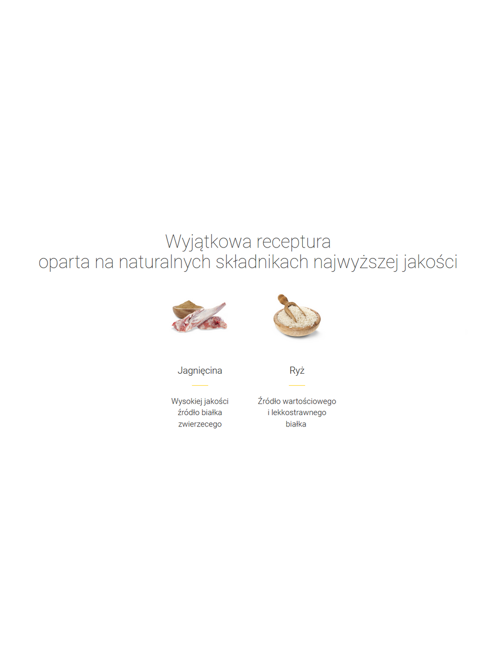 JOSERA Lamb & Rice 12,5kg + niespodzianka dla psa GRATIS!