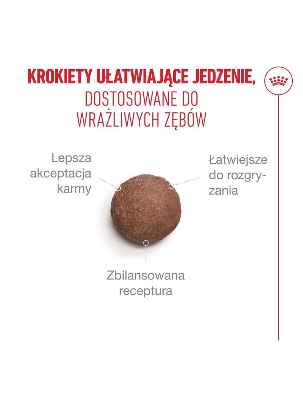 ROYAL CANIN Ageing Sterilised 11+ 4kg karma sucha dla kotów dojrzałych po 11 roku życia, sterylizowanych
