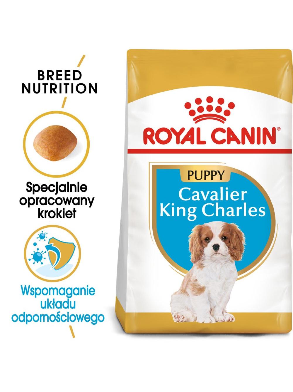 ROYAL CANIN Cavalier King Charles Spaniel Puppy 1,5kg karma sucha dla szczeniąt do 10 miesiąca, rasy cavalier king charles spaniel
