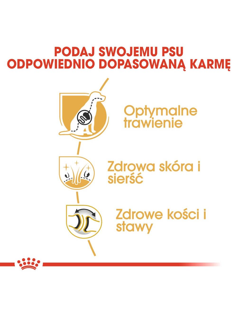 ROYAL CANIN German Shepherd Adult 11kg karma sucha dla psów dorosłych rasy owczarek niemiecki / Opakowanie uszkodzone (8961) !!!