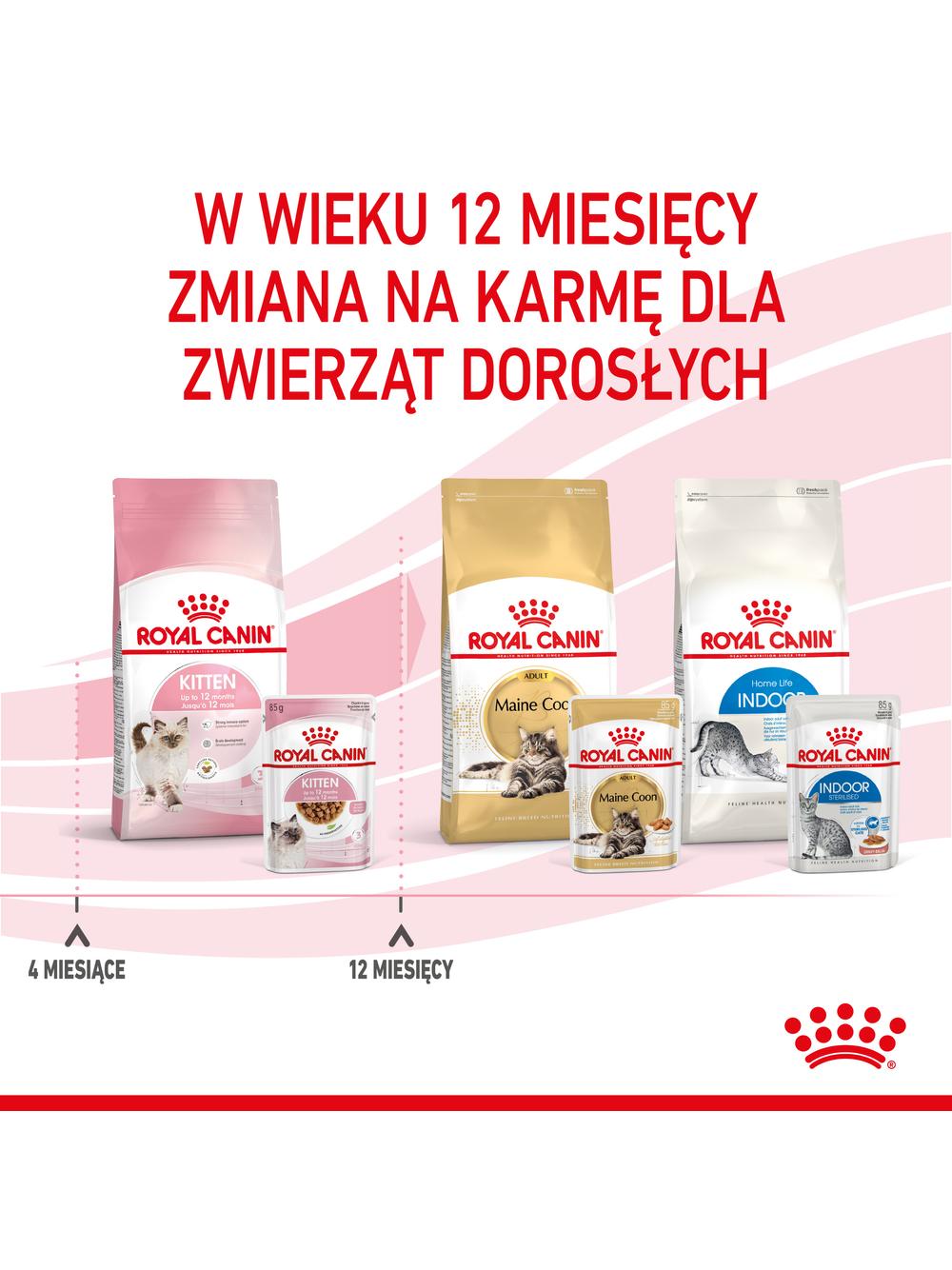 ROYAL CANIN Kitten Instinctive w sosie 12x85g karma mokra w sosie dla kociąt do 12 miesiąca życia +  NIESPODZIANKA DLA KOTA GRATIS!!