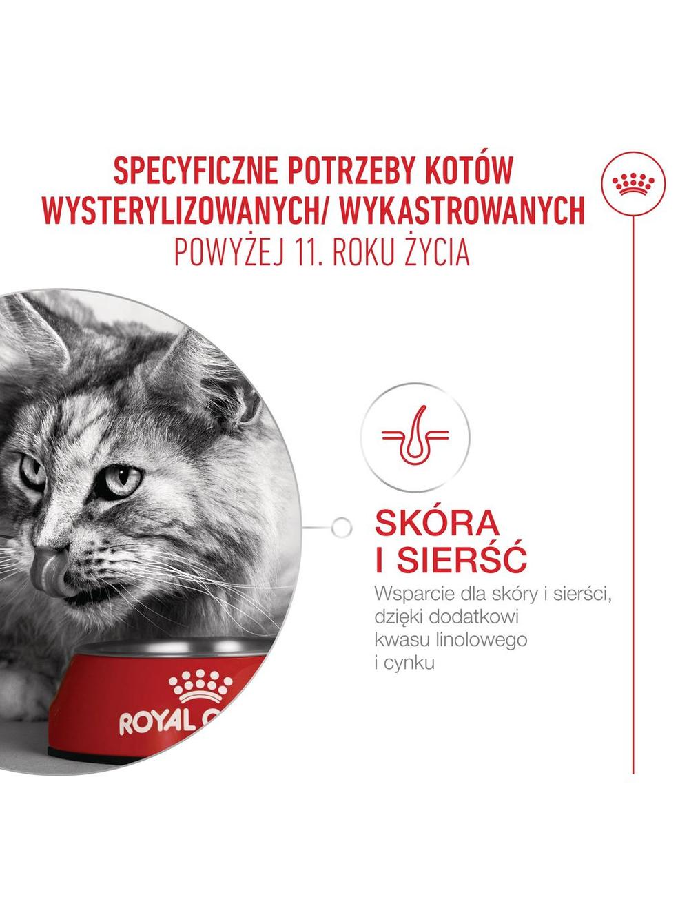 ROYAL CANIN Ageing Sterilised 11+ 4kg karma sucha dla kotów dojrzałych po 11 roku życia, sterylizowanych