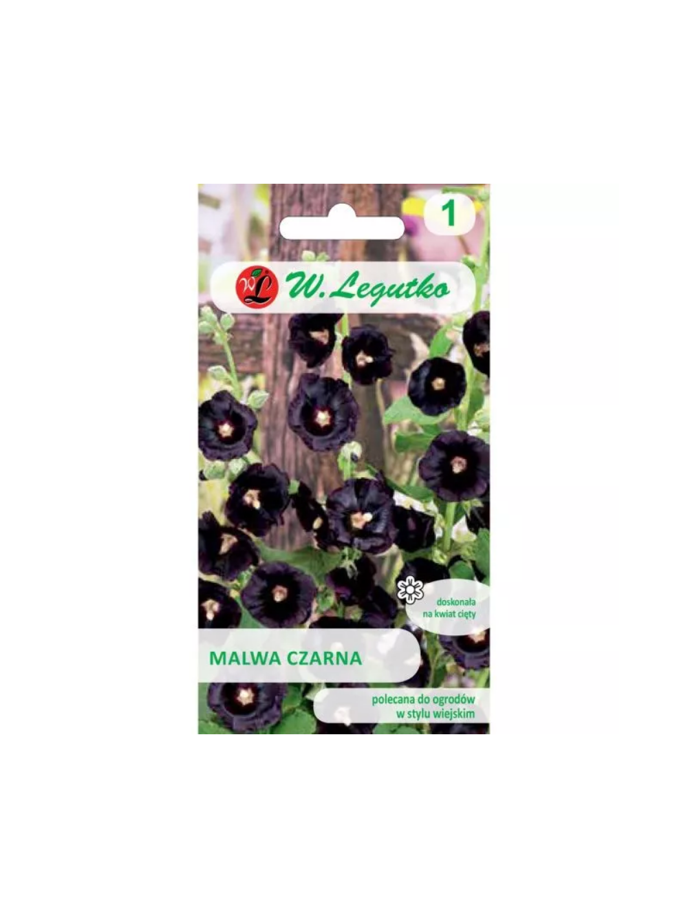 Malwa czarna
