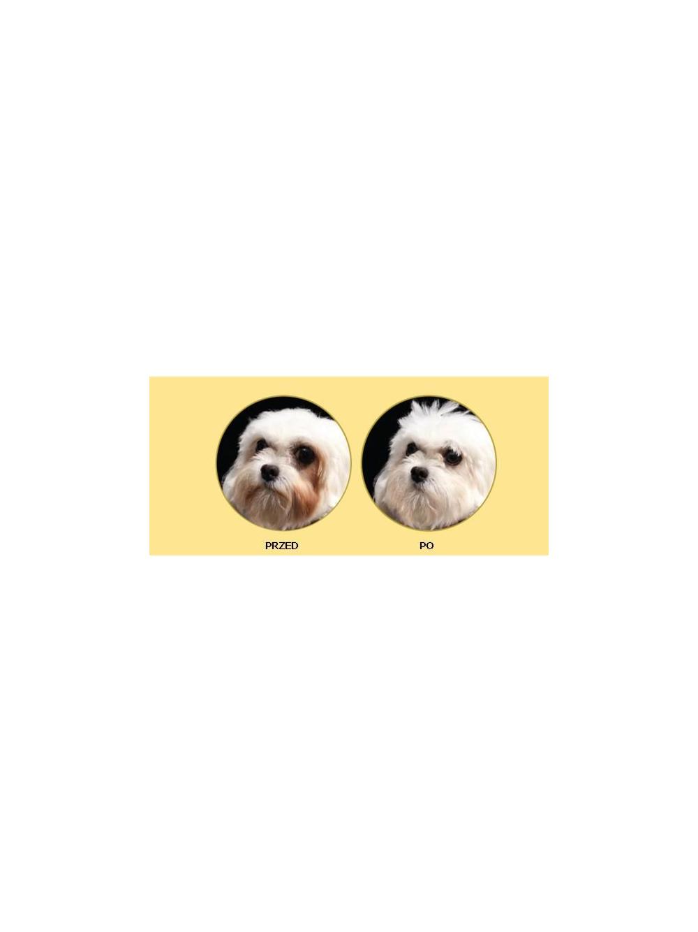 NATURES PROTECTION Superior Care White Dogs Adult 1,5kg + Torba na zakupy