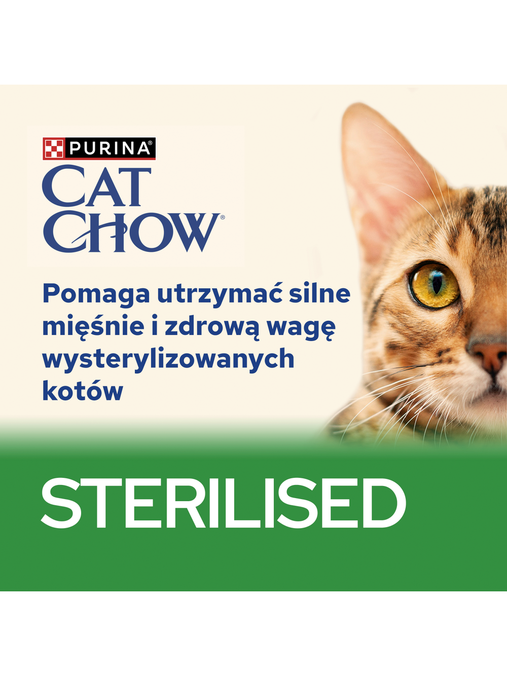 CAT CHOW Sterilised Karma dla kotów z jagnięciną i zieloną fasolką w sosie 10x85g