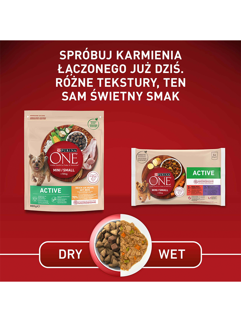 PURINA ONE Mini Active Kurczak, ryż - sucha karma dla psa - 800g /  / Opakowanie uszkodzone (8675) !!!