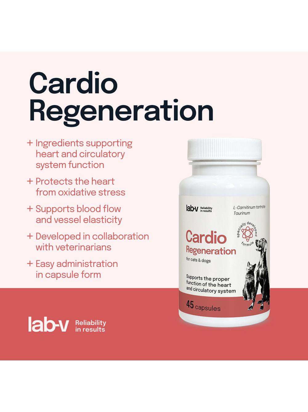 Lab-v Cardio Regeneration – Wsparcie prawidłowego funkcjonowania pracy serca i układu krążenia dla psów i kotów 45 kapsułek