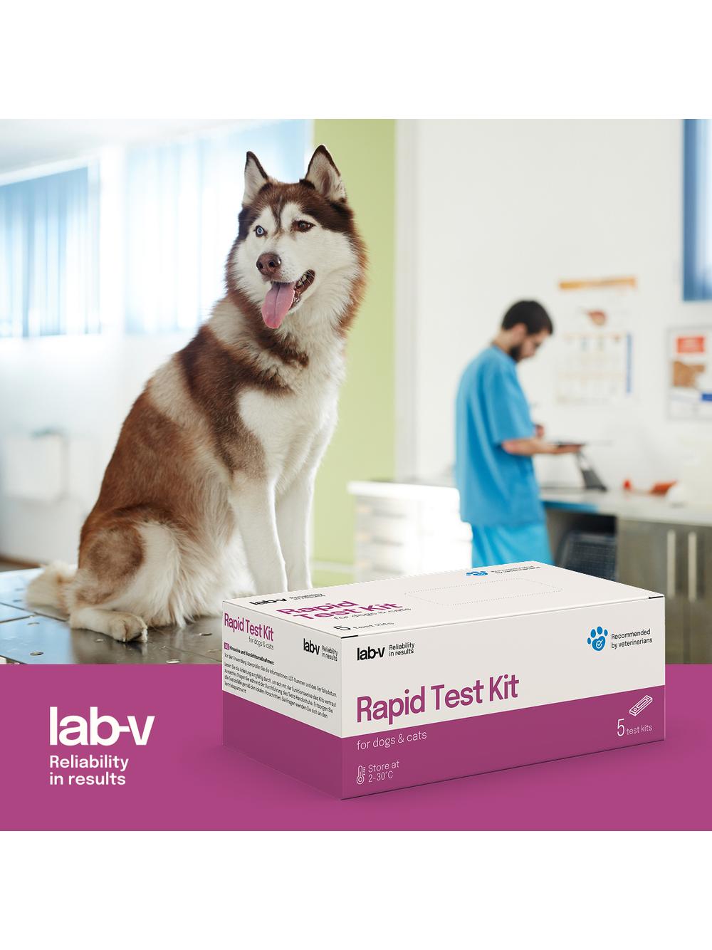 Lab-v Canine Parvovirus CPV Ag Szybki Test dla Psów