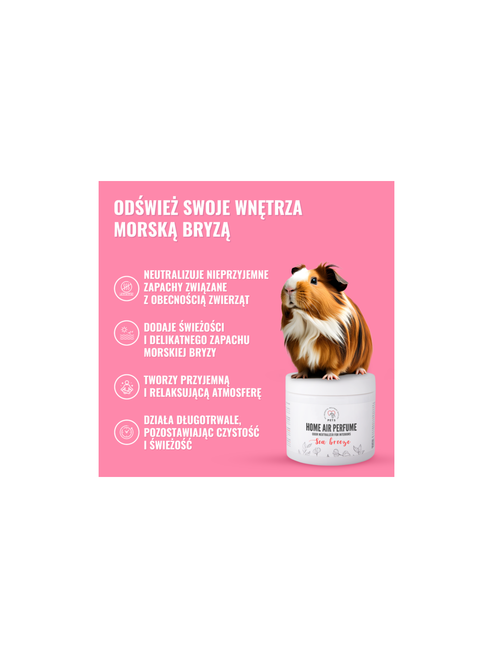 PETS “Lśniący Wąsik” – Pakiet Dla Właścicieli Kotów