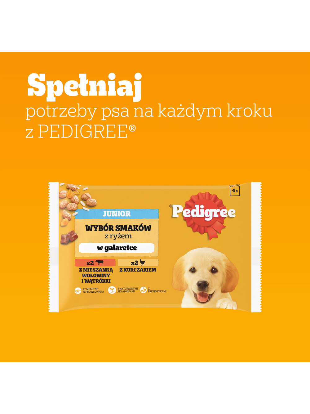 PEDIGREE Junior saszetka 4x100 g - Wybór Smaków z Ryżem w Galaretce, mokra karma pełnoporcjowa dla rosnących psów (kawałki bogate w kurczaka oraz kawałki bogate w mieszankę wołowiny i wątróbki)