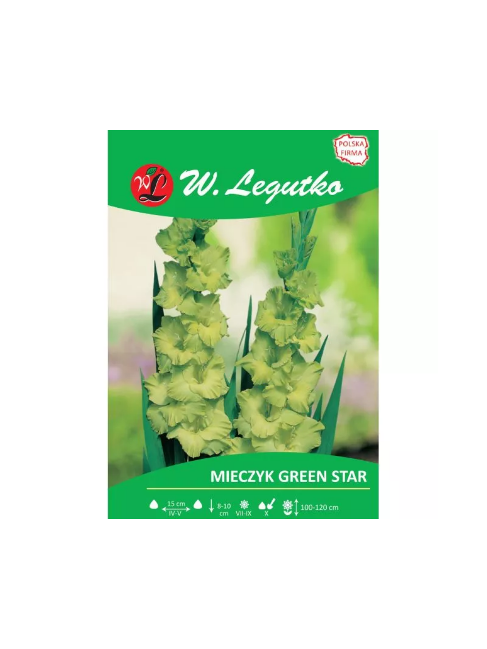 Mieczyk Green Star zielony 5szt.