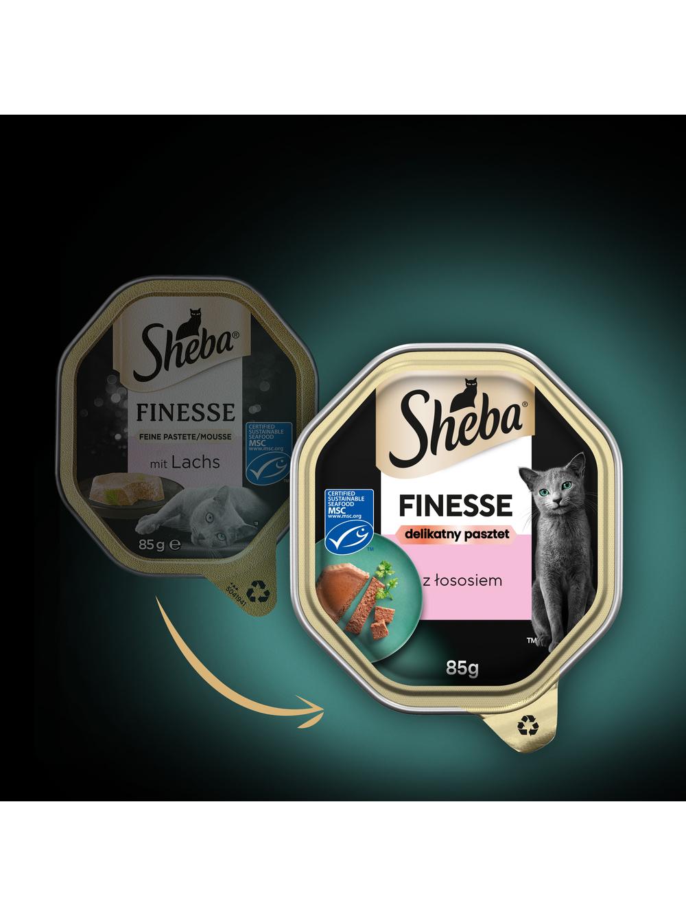 SHEBA Finesse tacka 44x85 g – mokra karma pełnoporcjowa dla dorosłych kotów, z łososiem, w pasztecie