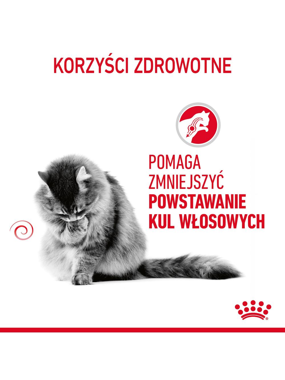 ROYAL CANIN Hairball Care 10kg karma sucha dla kotów dorosłych, eliminacja kul włosowych + niespodzianka dla kota GRATIS!