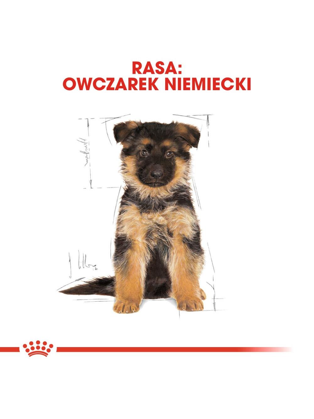 ROYAL CANIN German Shepherd Puppy 12kg karma sucha dla szczeniąt do 15 miesiąca, rasy owczarek niemiecki \Opakowanie uszkodzone (7627) !!!