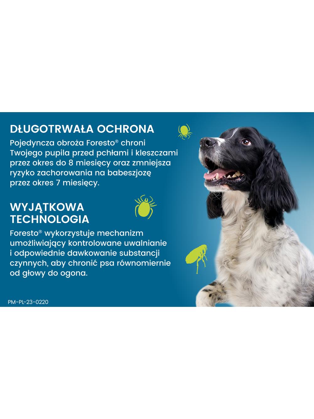 ELANCO Foresto Obroża dla psów powyżej 8kg+ Cestal Dog Plus tabletki na odrobaczanie psów 2 sztuki
