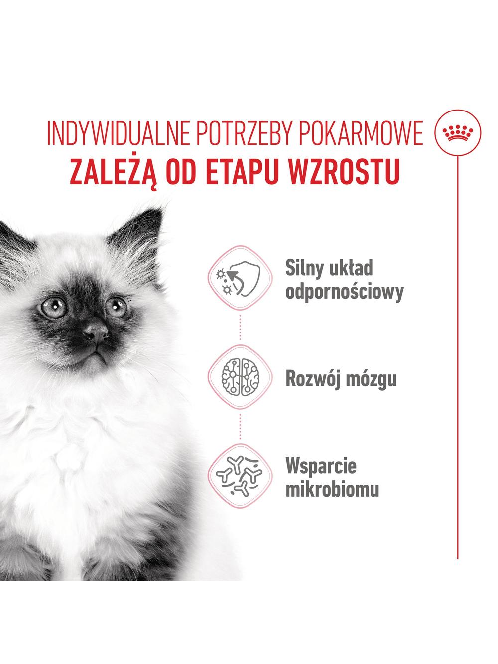 ROYAL CANIN  Kitten 400g karma sucha dla kociąt od 4 do 12 miesiąca życia