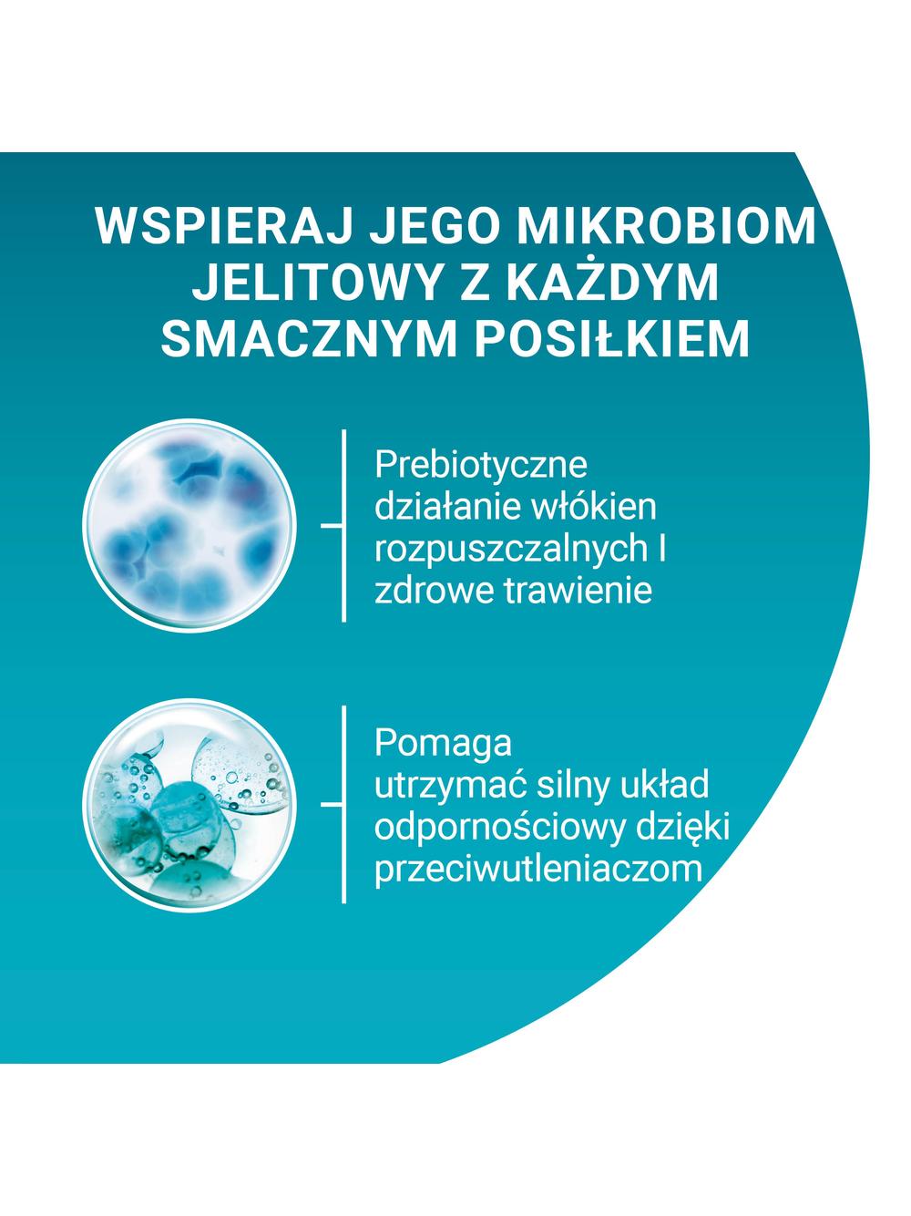 Purina One Adult Karma dla kotów z kurczakiem i zieloną fasolką 26x85 g
