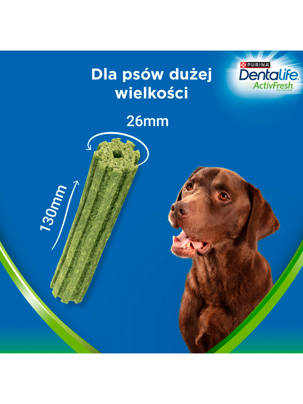 Purina Dentalife Activefresh Large 142g