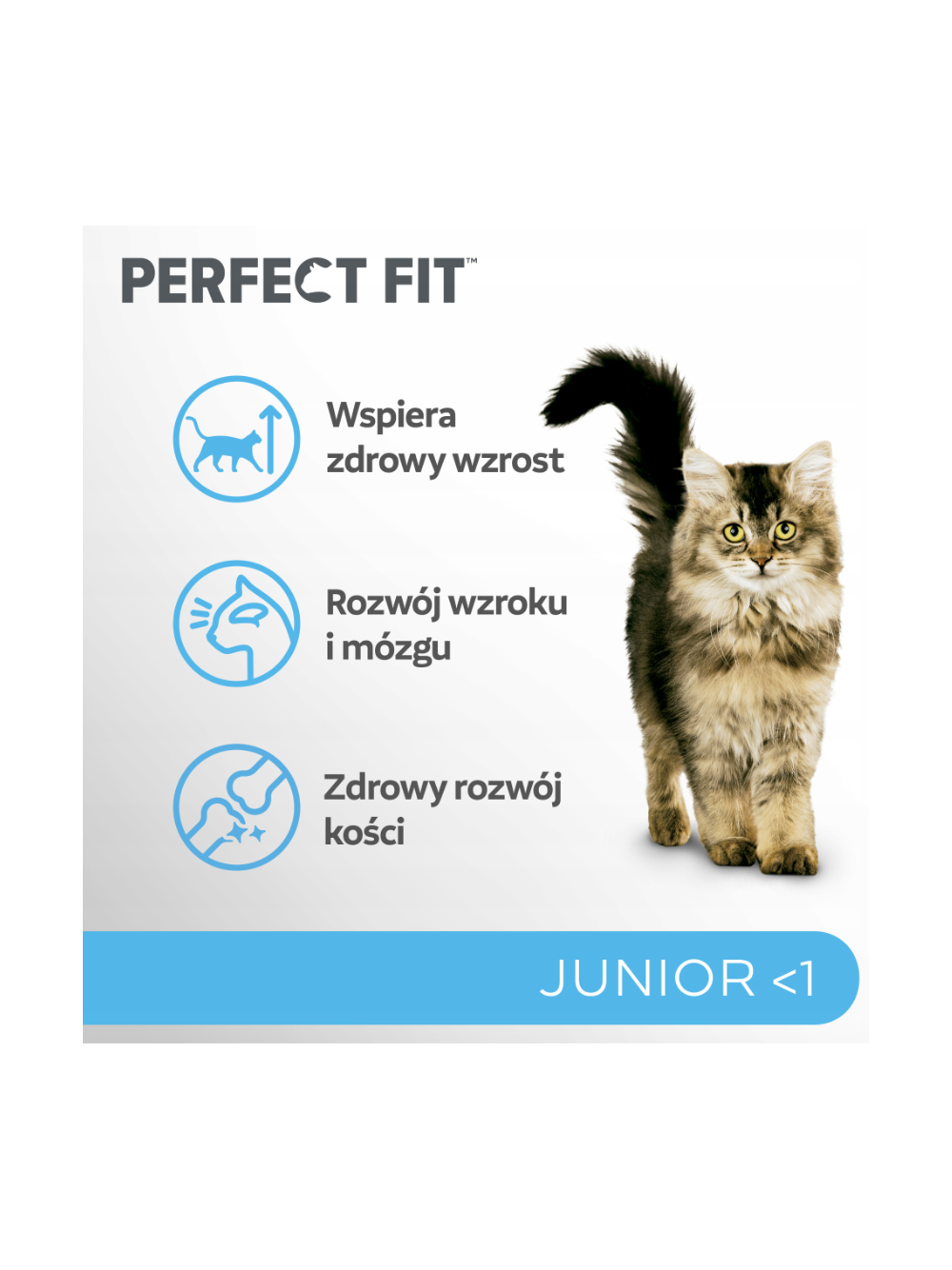 Perfect Fit™ - sucha karma pełnoporcjowa dla kociąt poniżej 1 roku, bogata w kurczaka 7kg