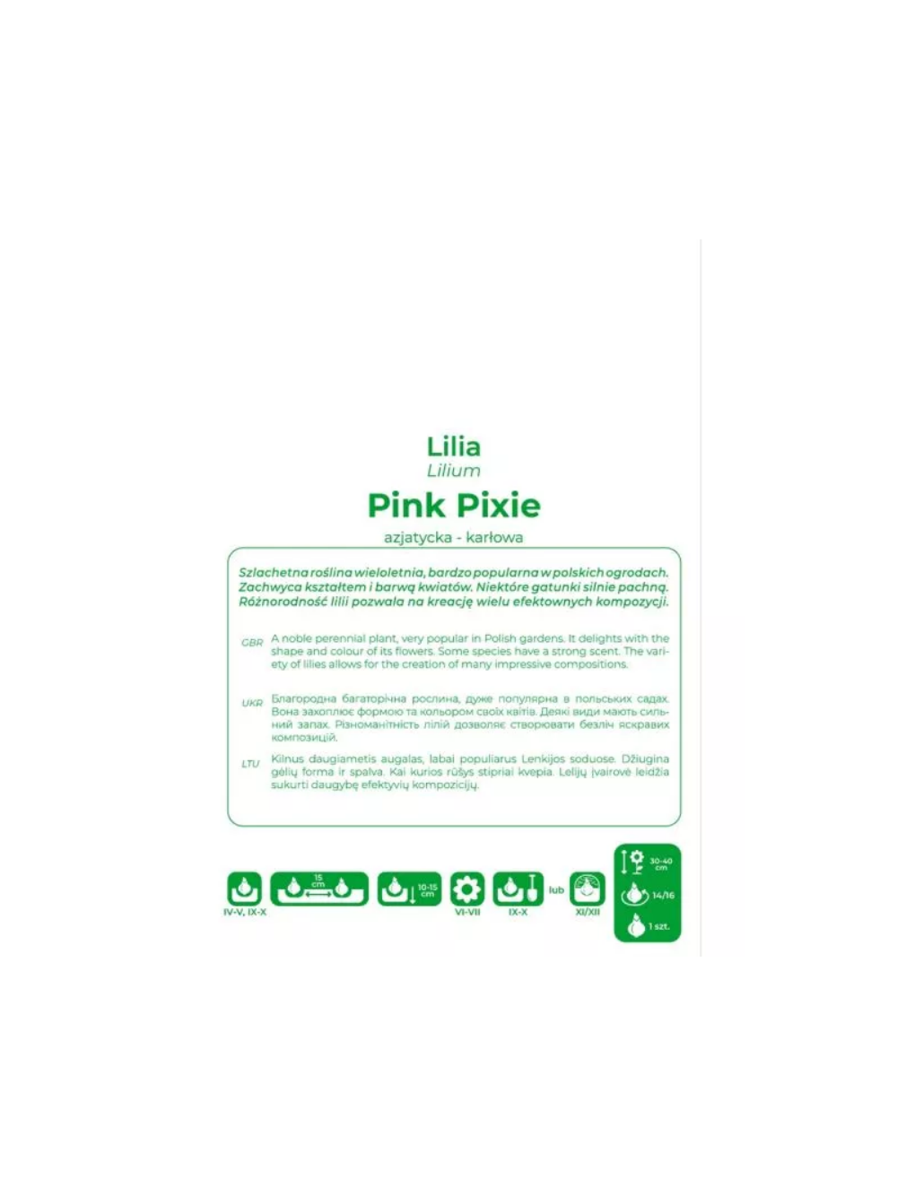 Lilia Pink Pixie różowa 1szt.