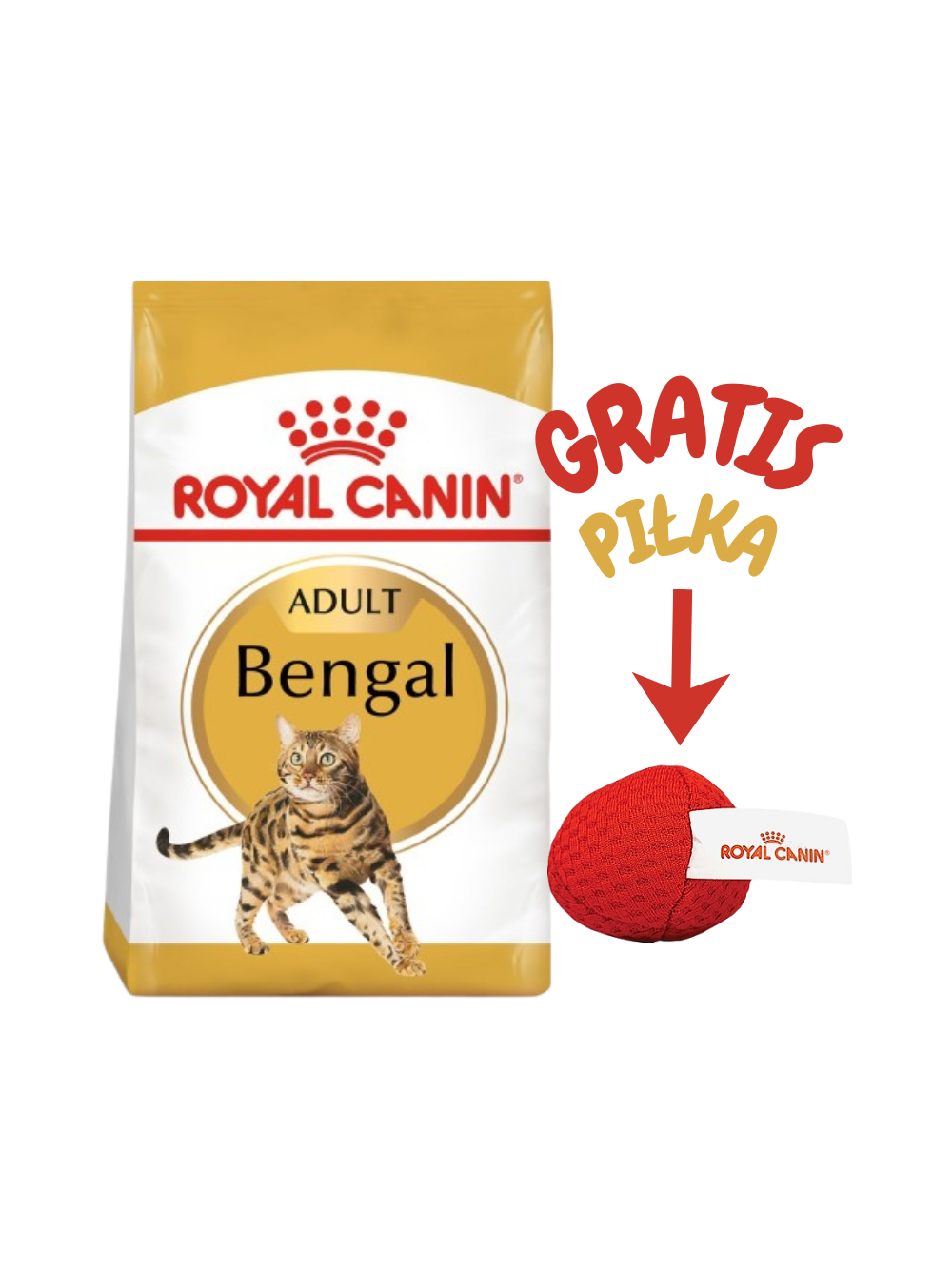 ROYAL CANIN Bengal Adult 10kg karma sucha dla kotów dorosłych rasy bengal + Royal Canin piłka dla kota GRATIS!!!
