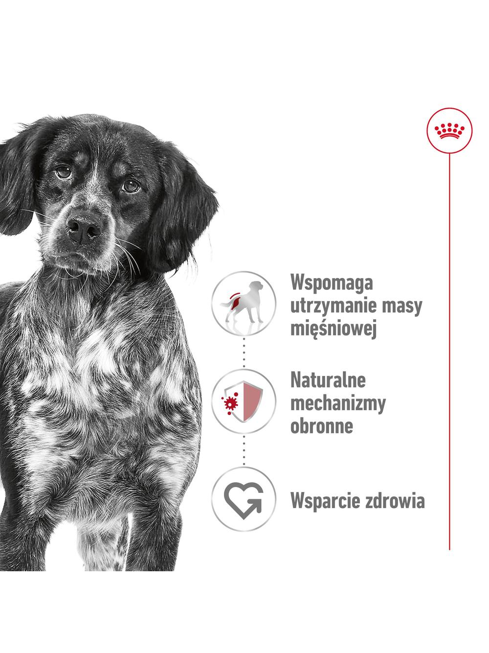 ROYAL CANIN®   Medium Adult 15kg karma sucha dla psów dorosłych ras średnich, do 7 roku życia / Opakowanie uszkodzone (7540,8374,9259,9588,9657) !!!