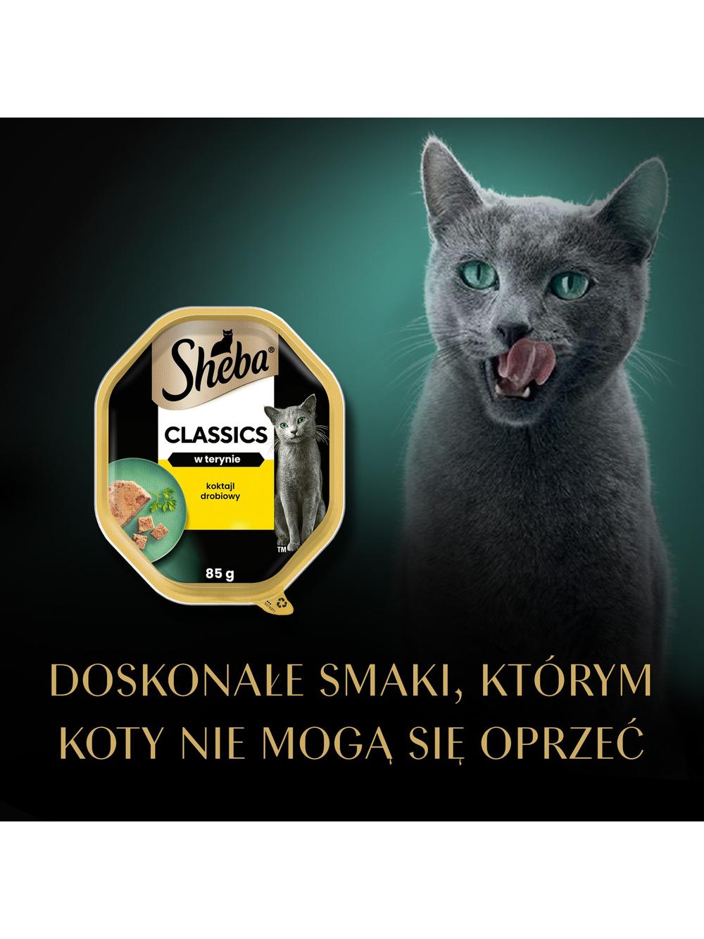 SHEBA Classics tacka 85 g – mokra karma pełnoporcjowa dla dorosłych kotów, koktajl drobiowy, w terynie