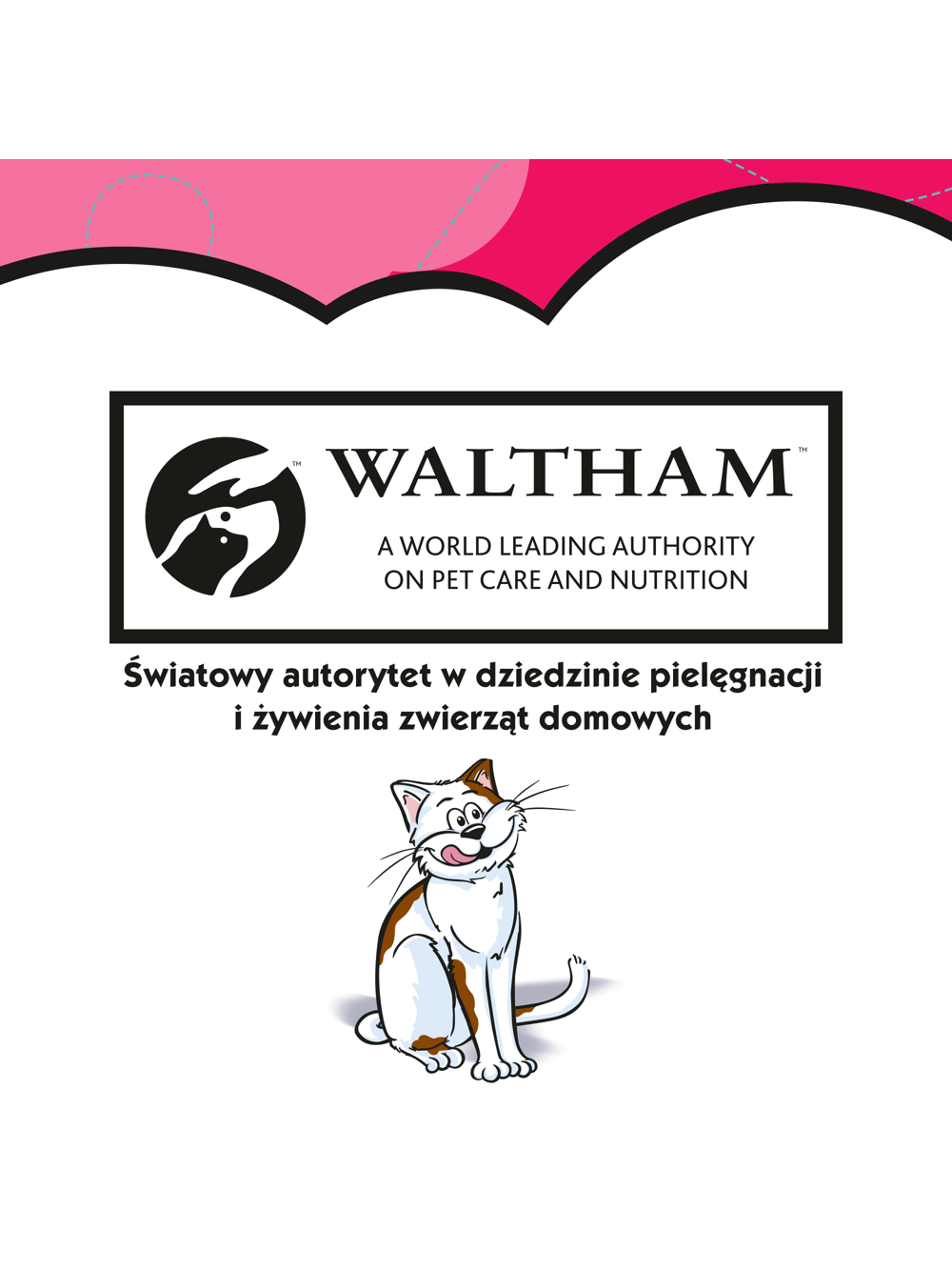 DREAMIES 6x60g - przysmak dla kota z wyśmienitą wołowiną