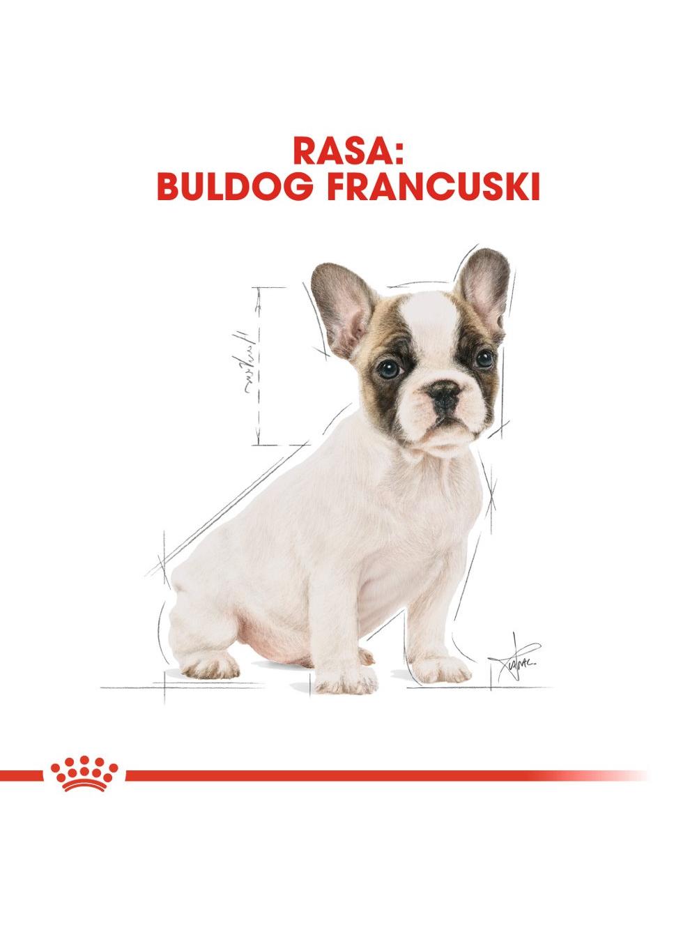 ROYAL CANIN French Bulldog Puppy 3kg karma sucha dla szczeniąt do 12 miesiąca, rasy bulldog francuski / Opakowanie uszkodzone (5597) !!!