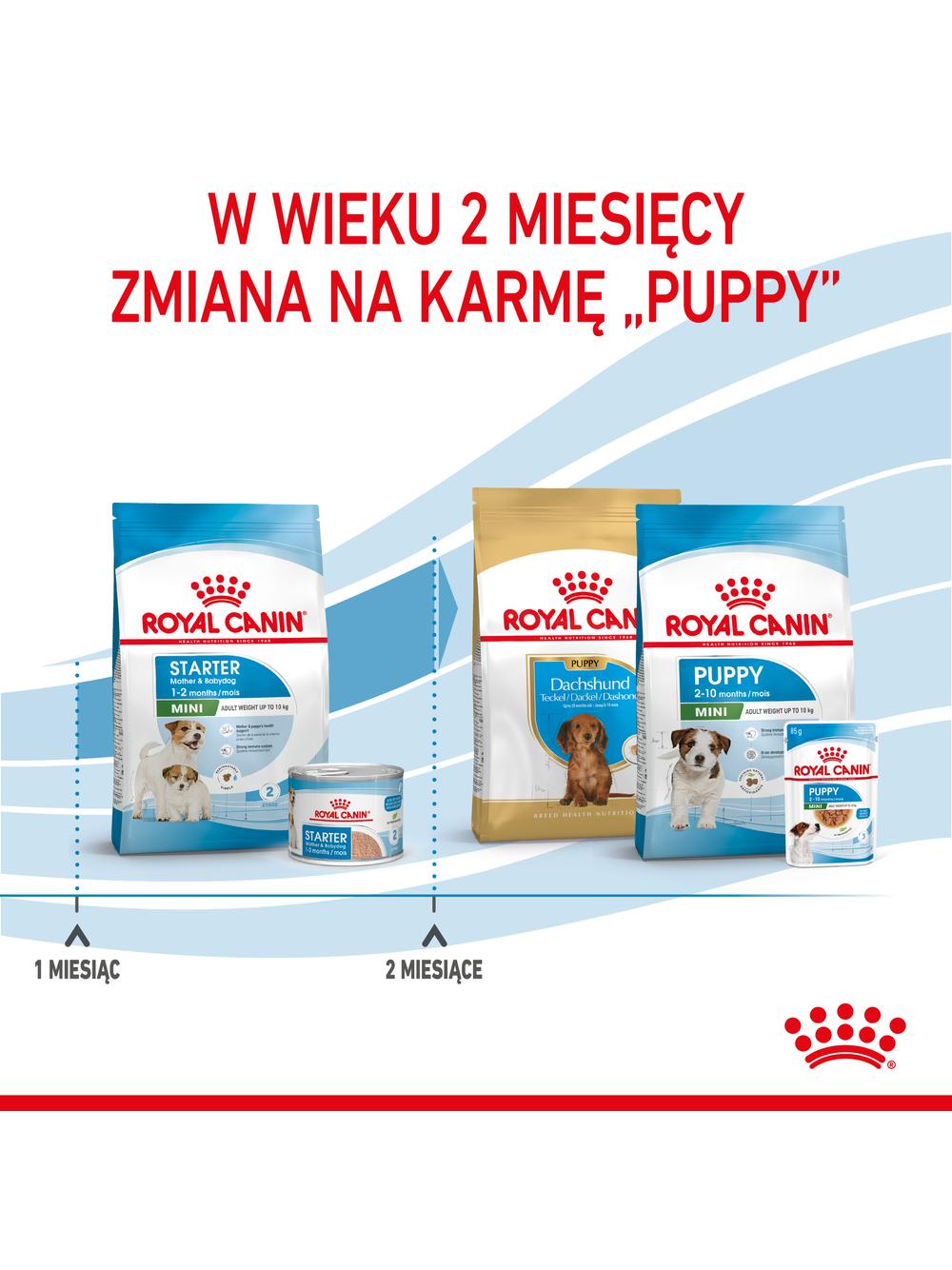 ROYAL CANIN Mini Starter Mother & Babydog 1kg karma sucha dla suk w ciąży i okresie laktacji oraz szczeniąt, od 4 do 8 tygodnia, ras małych  + niespodzianka dla psa GRATIS!