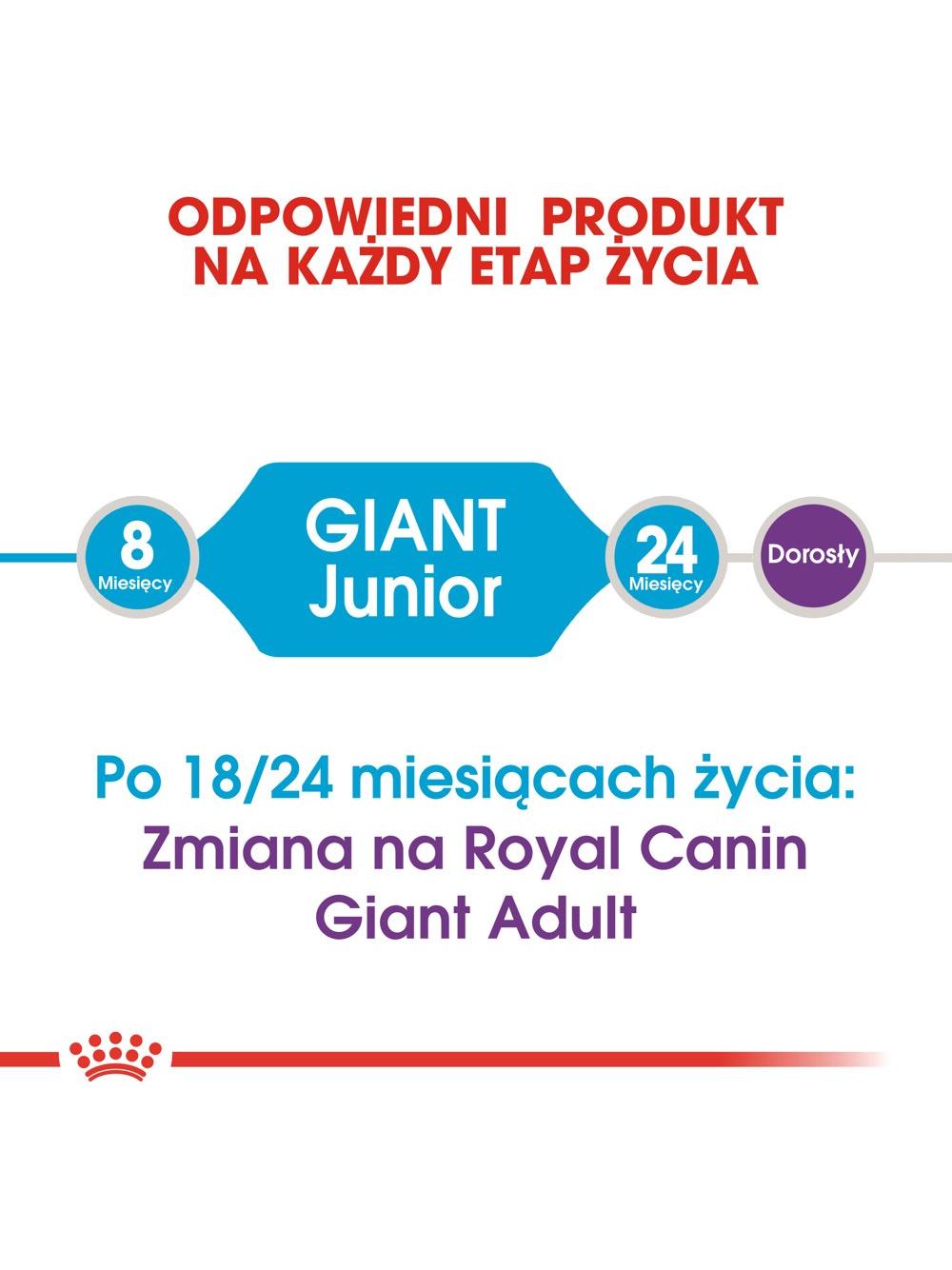 ROYAL CANIN Giant Junior 15kg karma sucha dla szczeniąt  od 8 do 18/24 miesiąca życia, ras olbrzymich + niespodzianka dla psa GRATIS!