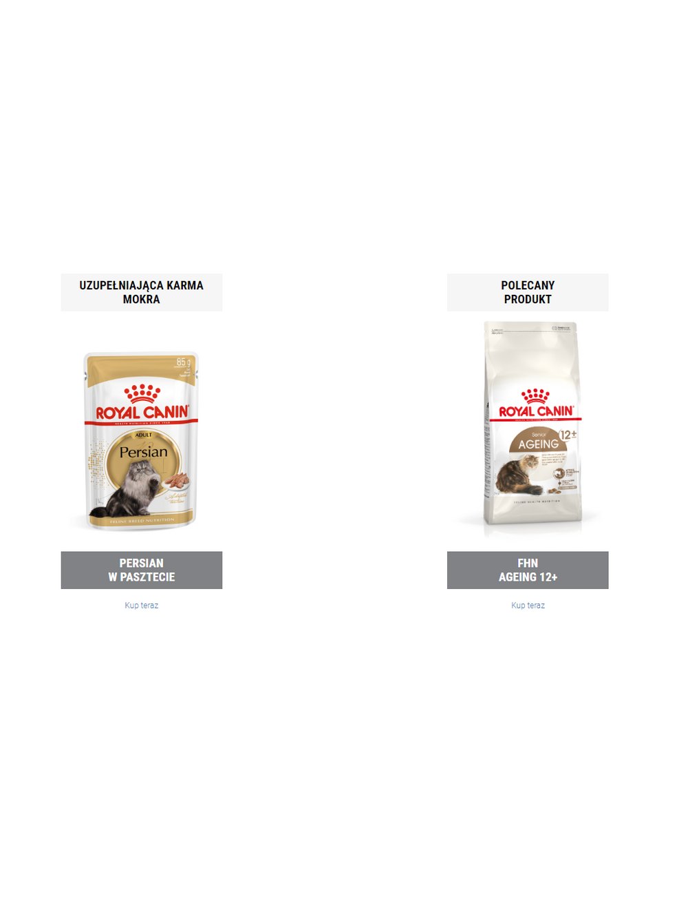 ROYAL CANIN Persian Adult 400g karma sucha dla kotów dorosłych rasy perskiej + niespodzianka dla kota GRATIS!