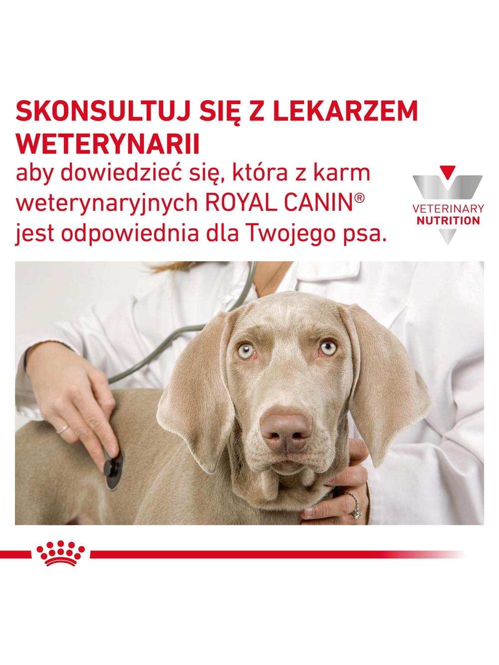 ROYAL CANIN Dog Gastro Intestinal Low Fat 10,5kg sucha karma o obniżonej zawartości tłuszczu dla psów z zaburzeniami żołądkowo-jelitowymi / Opakowanie uszkodzone (9376) !!!