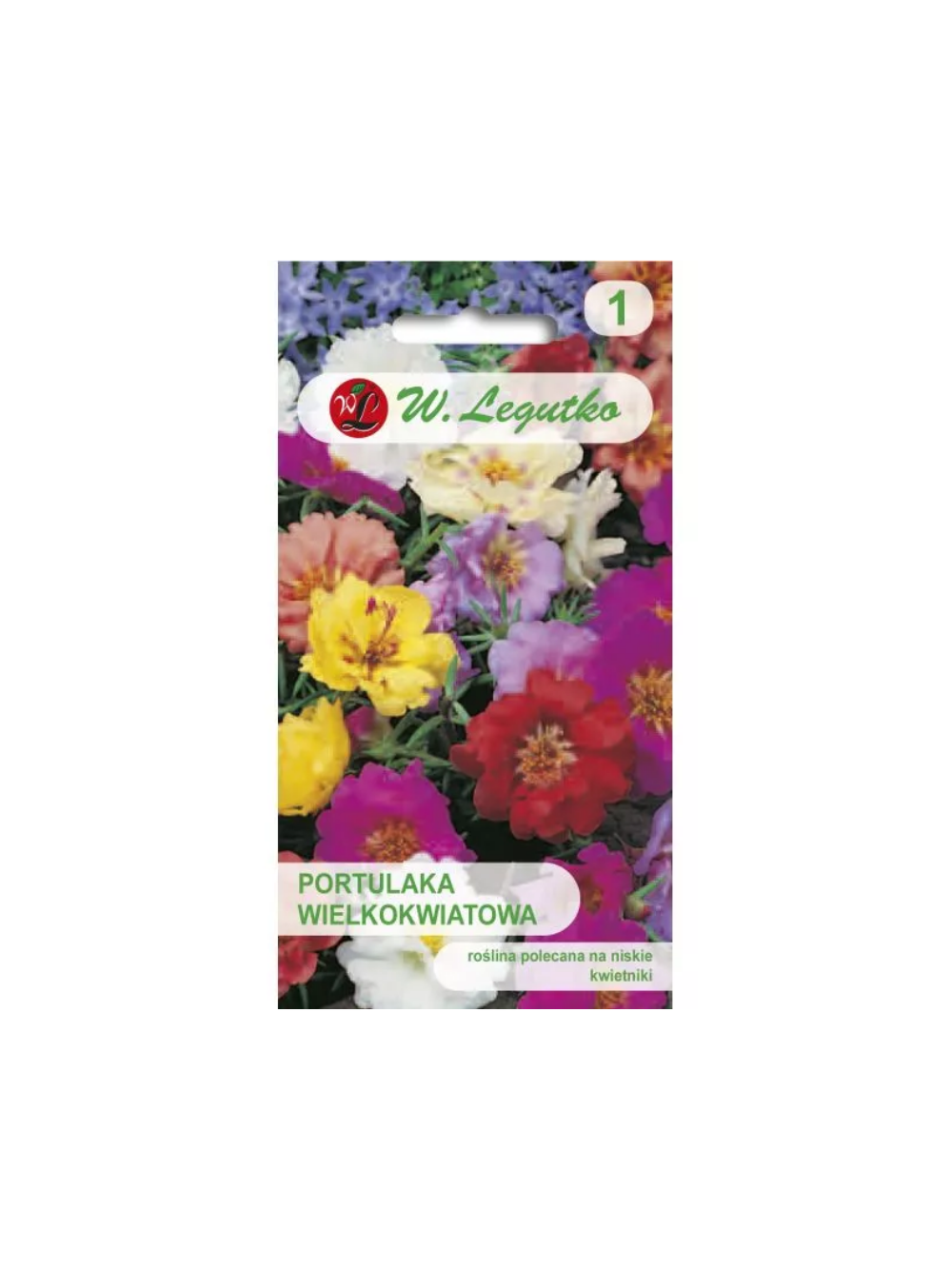 Portulaka wielkokwiatowa mieszanka, półpełna
