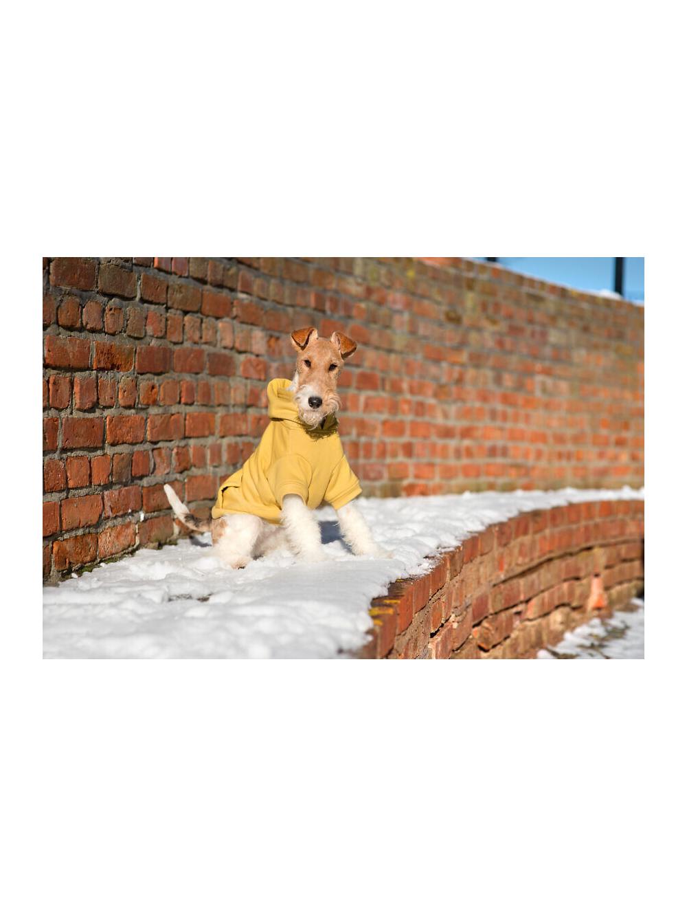 AMIPLAY- Bluza z kapturem Texas 35 cm Maltese-różowa