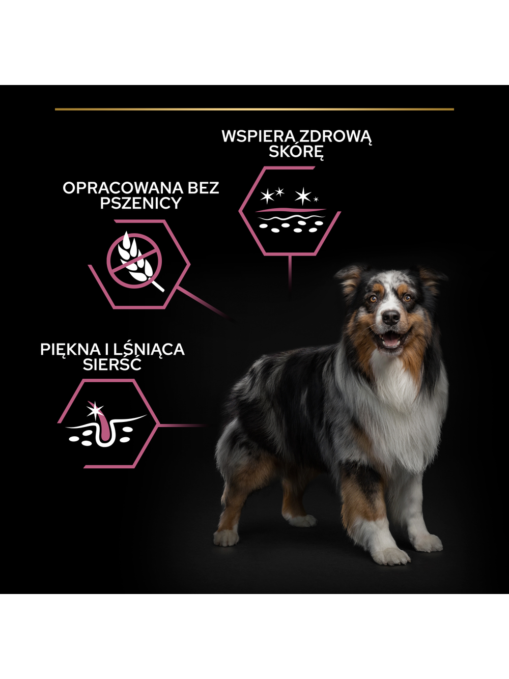 PRO PLAN Sensitive Skin Medium Adult Karma dla psów bogata w łososia 14kg