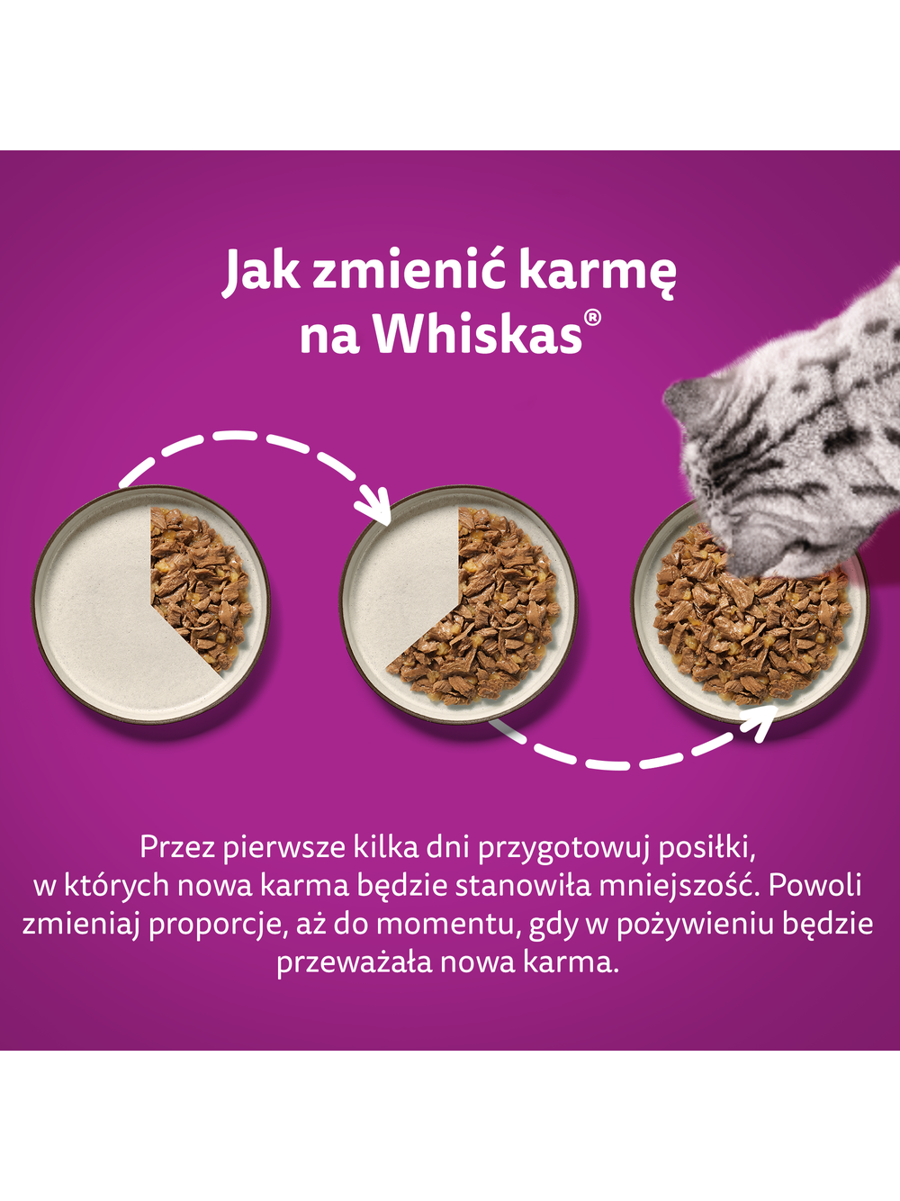 WHISKAS mokra karma dla kota rybne smaki w galaretce 160x85g