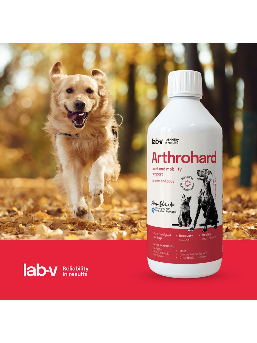 Lab-v Arthrohard 500ml Preparat na wsparcie stawów dla psa i kota