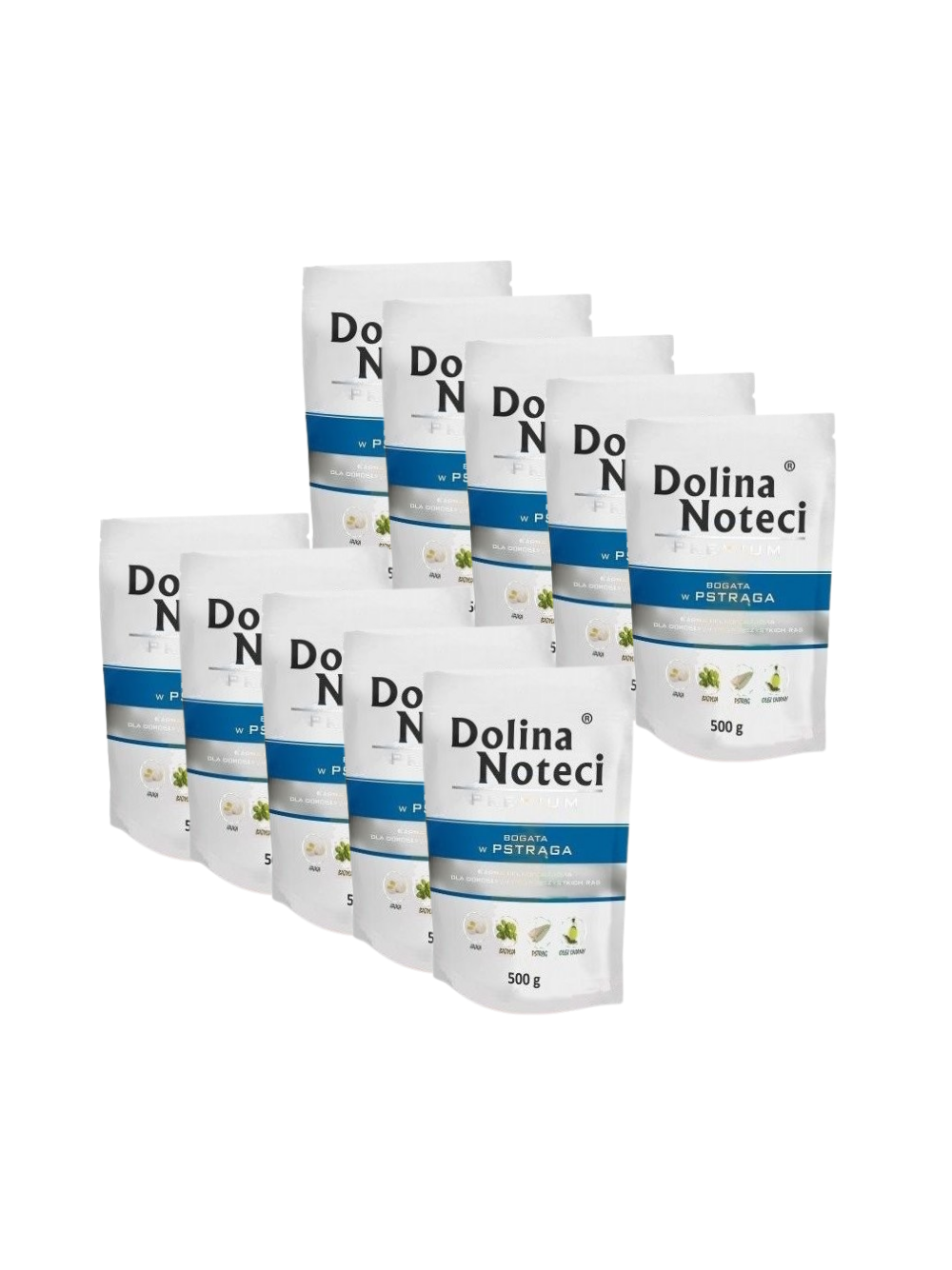 Dolina Noteci Premium Pstrąg 10x500g